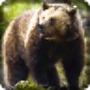 icon Wild sniper: animal hunting 3D