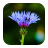 icon Blur Image 1.18