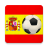 icon Primera Division 1.3.4