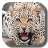 icon Leopard 1.2.0