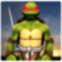 icon Ninja Turtle Warrior