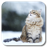 icon Snow Cat 1.3.0