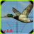 icon Duck Hunter 2.1