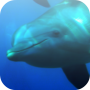 icon Sea Fun Games – free dla ZTE Blade A6