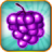 icon Fruit Blitz 1.1.20