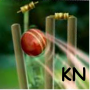 icon Cricket Launcher