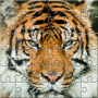 icon Puzzle Zoo