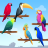 icon Bird Puzzle 1.3.6