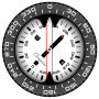 icon Compass PRO dla oneplus 3