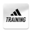 icon Training 6.22