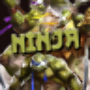 icon Turtle Ninja Hero Ultimate Adventure 2017