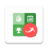 icon Football Italy 4.3.3