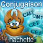 icon Conjugaison
