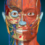 icon Anatomy Learning - 3D Anatomy dla cat S61