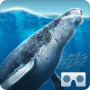 icon SeaWorld VR2