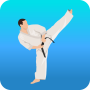 icon Karate Workout At Home