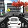 icon Car Parking Race 3D