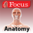 icon Anatomy Atlas 1.8
