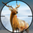 icon Real Deer Hunting: Zoo Hunter 5.6