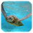 icon Sea Turtle HD. Wallpaper 1.03