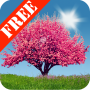 icon Spring Trees Free