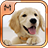 icon Dog Breeds Quiz HD 1.20