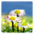 icon Daisy Flowers HD 1.1