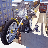 icon Street Bikers 3D 1.4