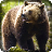 icon Wild sniper: animal hunting 3D 1.5