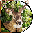 icon Deer Sniper Hunt 2015 1.2