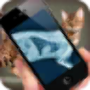 icon Simulation XRay Cat dla blackberry Motion
