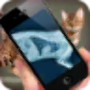 icon Simulation XRay Cat dla Huawei Honor 6A Pro