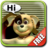 icon Talking Diddy Dog 9.8