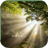 icon Sunbeams Live Wallpaper 1.0