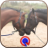 icon Horse Pictures & Games 1.0