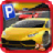 icon Sports Parking 1.1