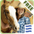 icon WesternHorse 1.2