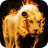 icon Blazing lion 1.1