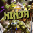icon Turtle Ninja Hero Ultimate Adventure 2017 1.0