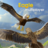 icon Eagle Multiplayer 1.0