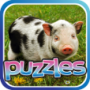 icon Amazing Animals Puzzle