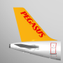 icon Pegasus: Cheap Flight Tickets dla Vernee Apollo X