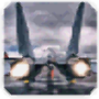 icon F-14 Tomcat Jet Fighter