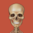 icon iOrthoPlus 2.4.2