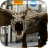 icon Dragon 3D Live Wallpaper 2.0