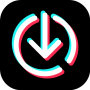 icon TikTok Video Downloader