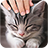 icon Pat a cat 1.0