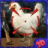 icon Chicken Hunter Simulator 1.0.3