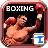 icon Boxing Night 1.2