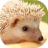 icon Hedgehogs live wallpaper 4.0